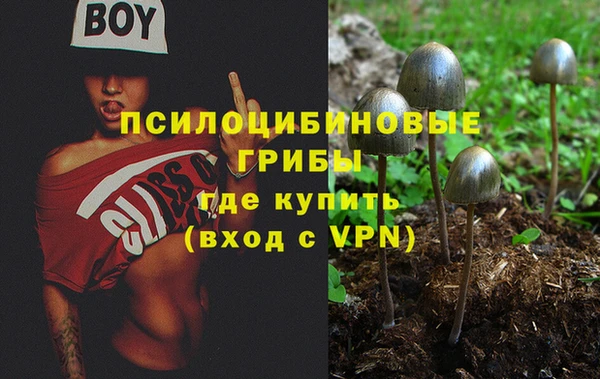 мдма Новозыбков