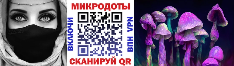 где найти   Пудож  Псилоцибиновые грибы Psilocybine cubensis 